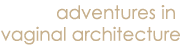adventures in vaginal architecture